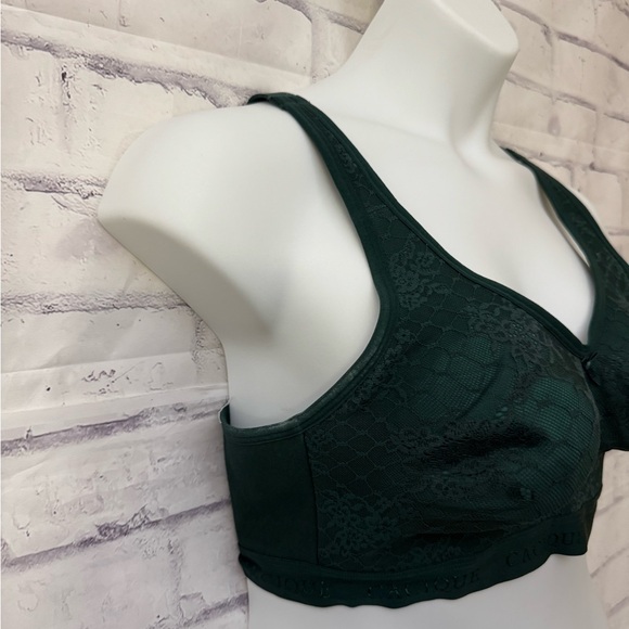 Cacique Bra Size 40D Unlined Full Coverage No‎ Wire Green Lace Stained - Picture 2 of 11
